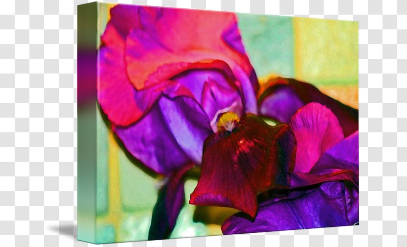 Acrylic Paint Pansy Rose Family Floral Design Violet Transparent PNG