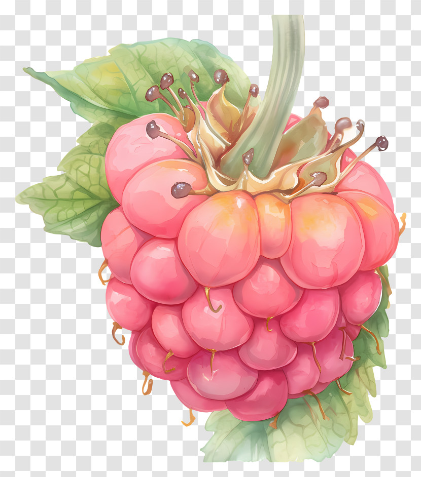 Watercolor Raspberries - Juicy Pink Raspberry With Leaves Transparent PNG