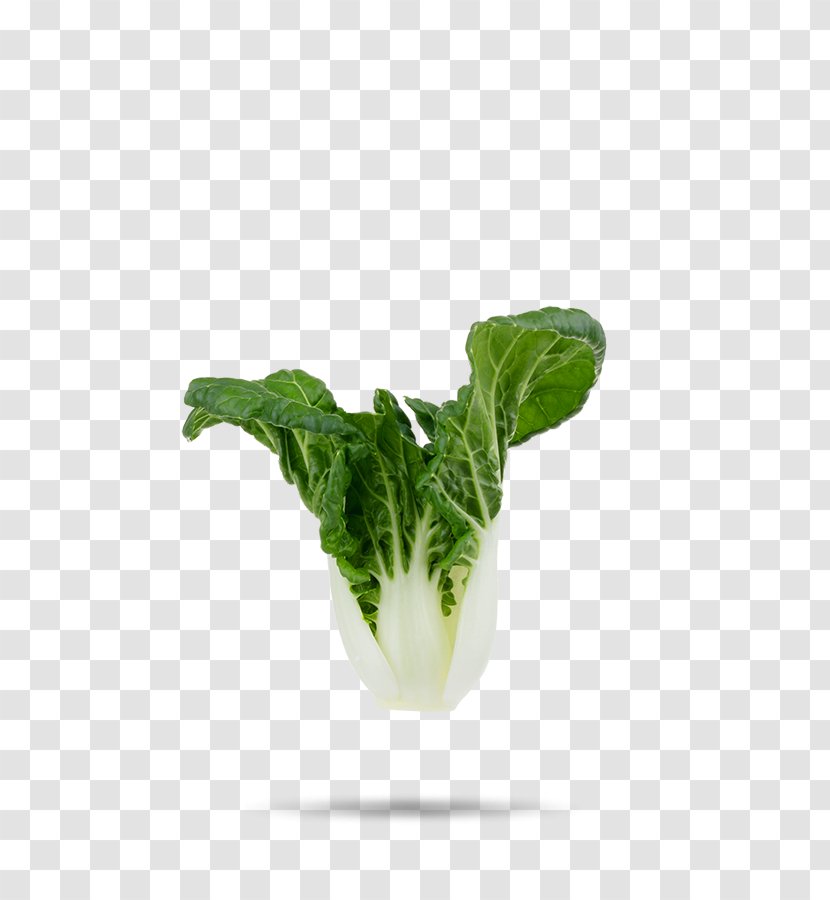Bok Choi Romaine Lettuce Cabbage Vegetable Chard - Pak Transparent PNG