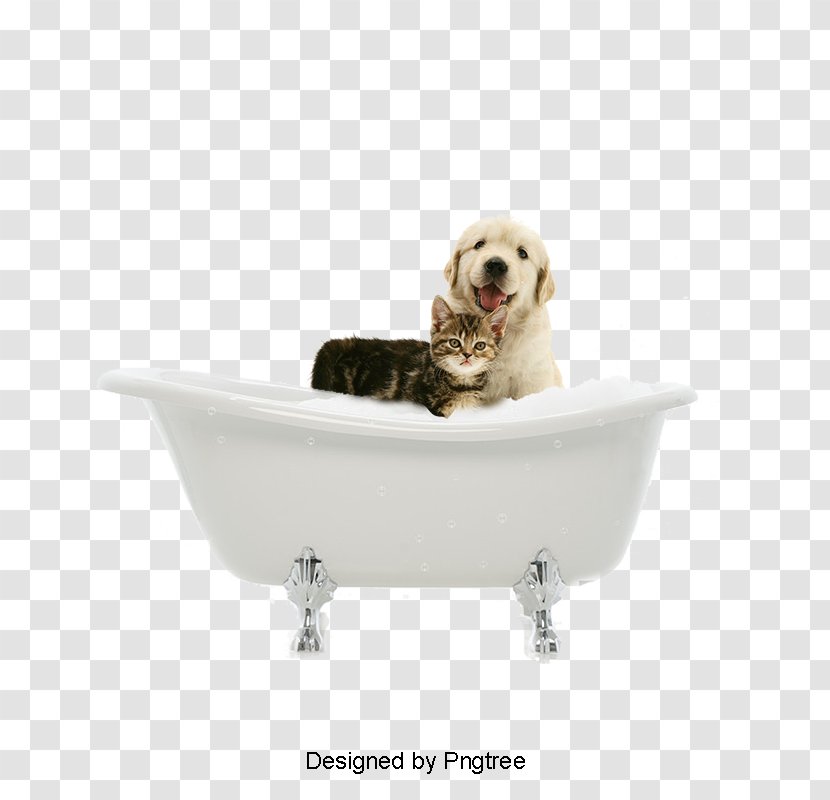 Puppy Dog Breed Cat Grooming - Bathtub Transparent PNG