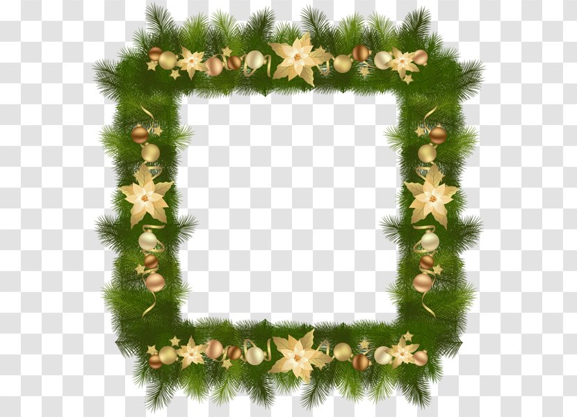 Christmas Tree Picture Frames - Conifer - Border Pictures Transparent PNG