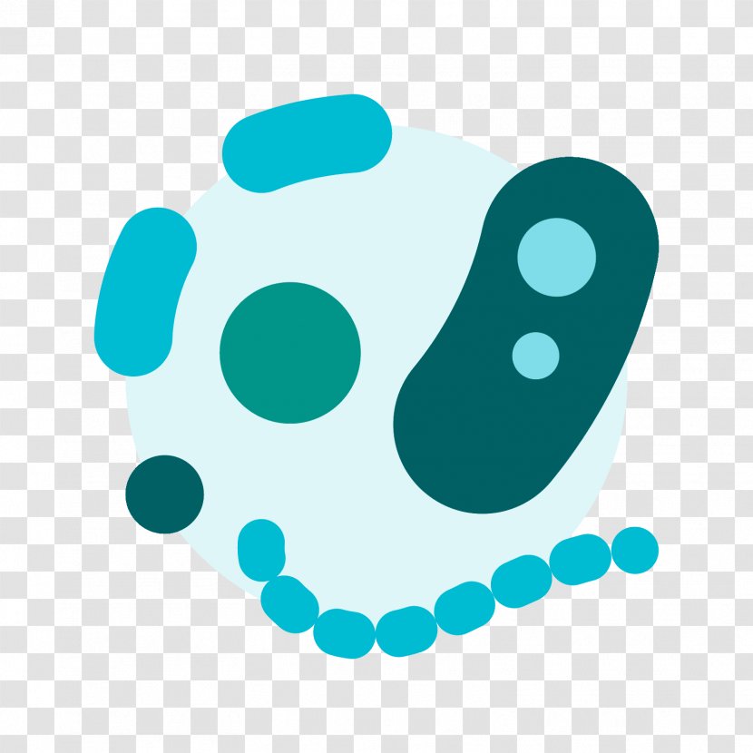 Microorganism Bacteria - Turquoise - Organism Transparent PNG
