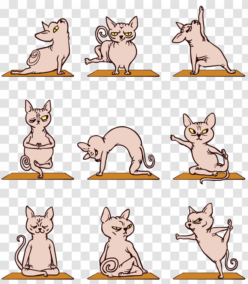 Sphynx Cat Domestic Rabbit Bengal Abyssinian Yoga - Whiskers - French Bulldog Transparent PNG