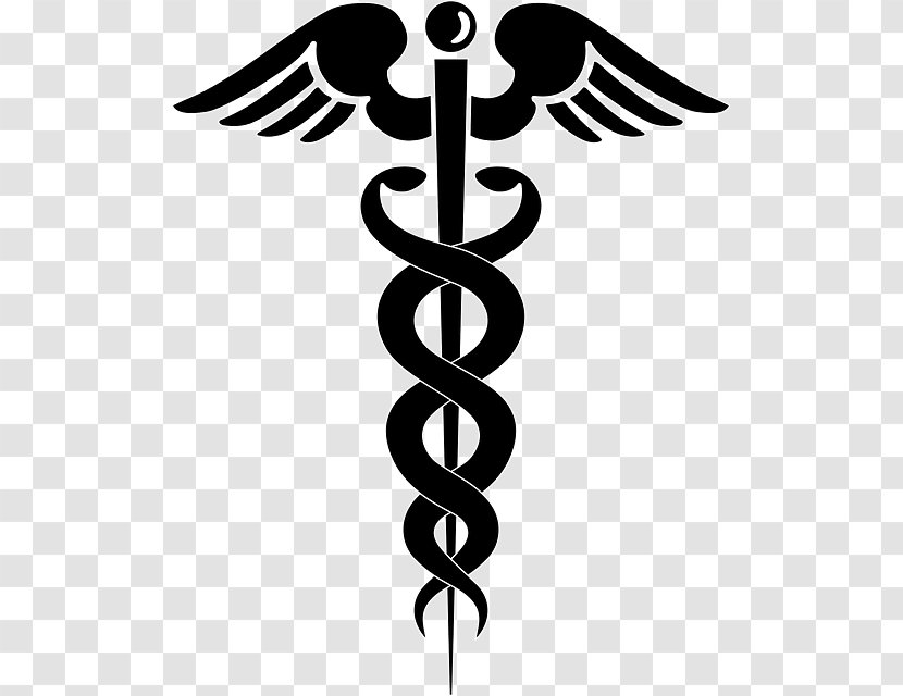 Staff Of Hermes Caduceus As A Symbol Medicine Clip Art - Black And White Transparent PNG