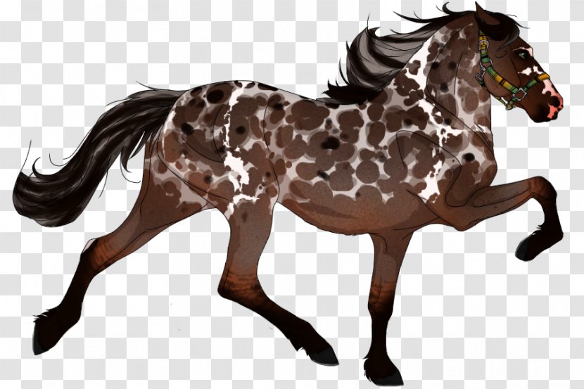 Mane Mustang Appaloosa American Paint Horse Quarter - Mare - Blanket Plaid Coat Transparent PNG