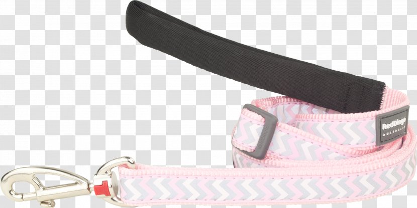 Leash Dog Collar Dingo - Fashion Accessory Transparent PNG