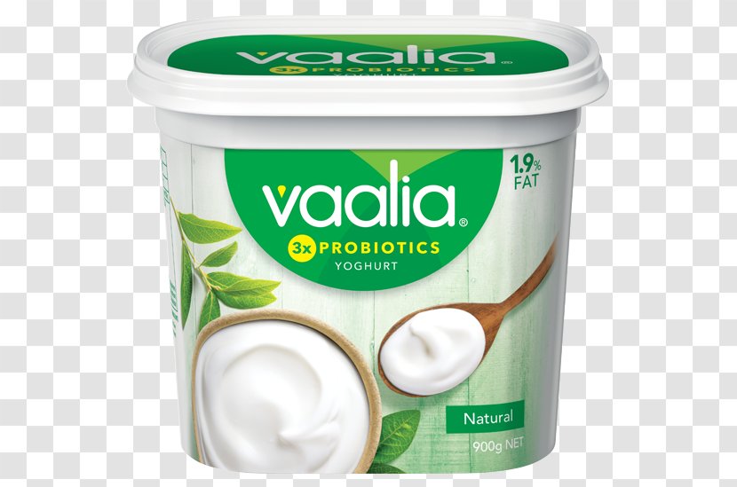 Crème Fraîche Yoghurt Custard Cream Milk - Yoplait Transparent PNG