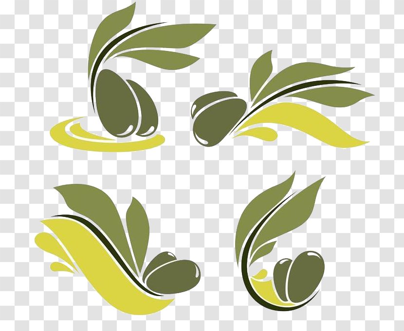 Olive Oil Logo Illustration - Leaf - Green Branch Transparent PNG