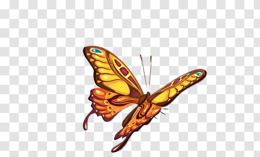 Monarch Butterfly Abziehtattoo Body Art - Organism Transparent PNG
