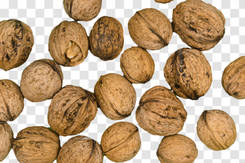 Walnut Superfood Commodity Nut Transparent PNG