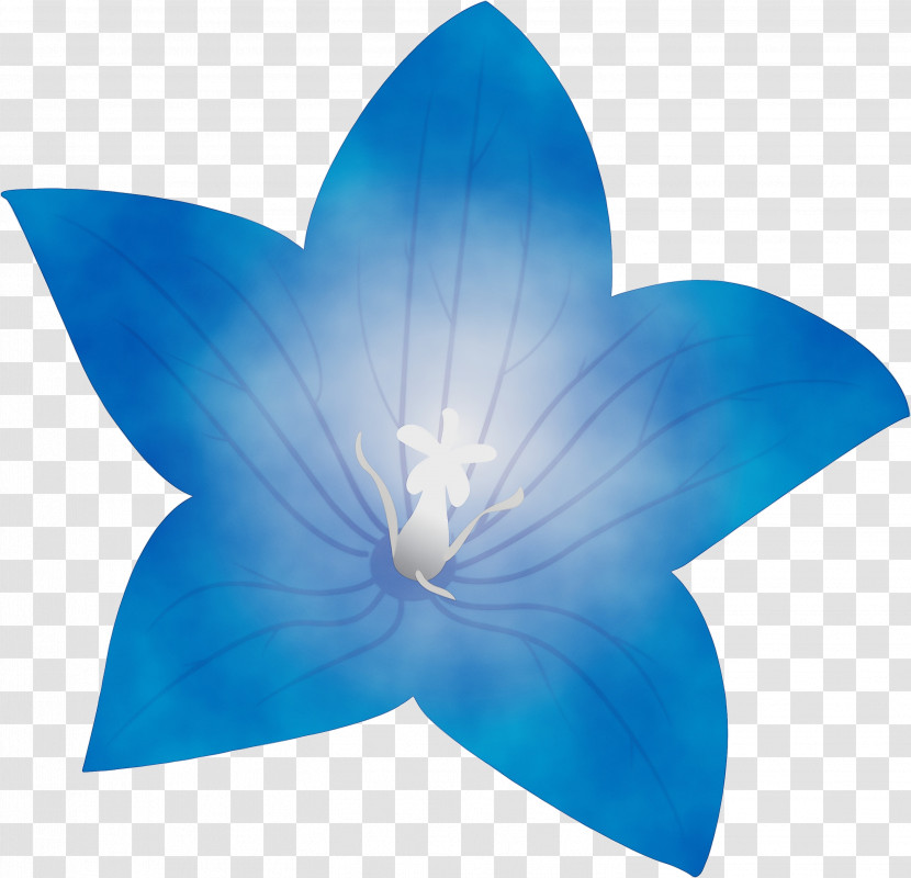 Electric Blue M Turquoise M Cobalt Blue Petal Flower Transparent PNG