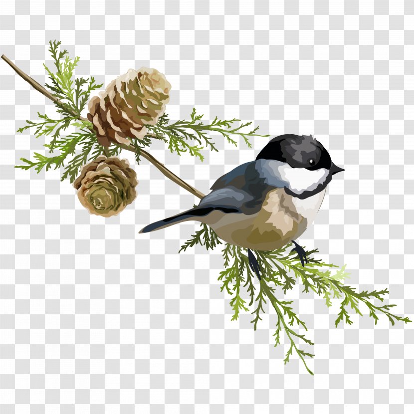 Stock Illustration - Tree - Pine Trees And Birds Transparent PNG