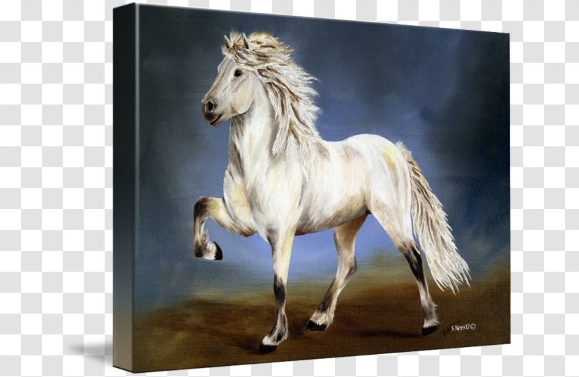 Icelandic Horse Pony Mane Oil Painting Reproduction Art Transparent PNG