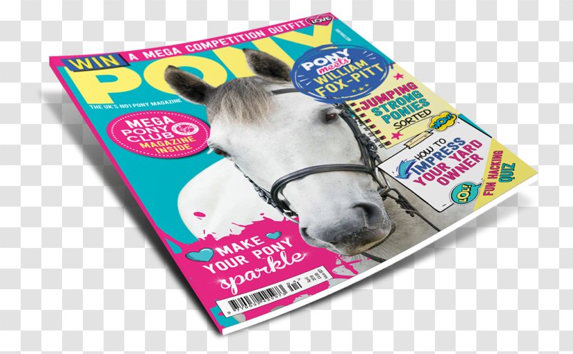 Horse PONY Magazine You Know How To Travel Animal Transparent PNG