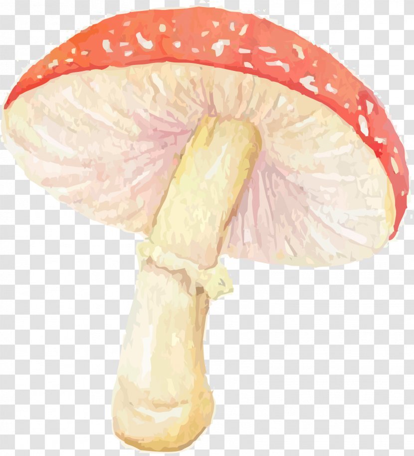 Mushroom - Petal - Vector Material Cute Pink Transparent PNG