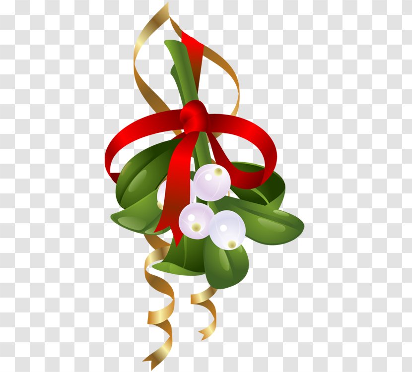 Mistletoe Clip Art - Christmas - Flowerpot Transparent PNG