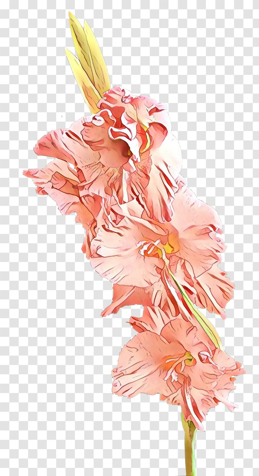 Flower Cut Flowers Plant Pink Gladiolus - Flowering - Bouquet Peach Transparent PNG