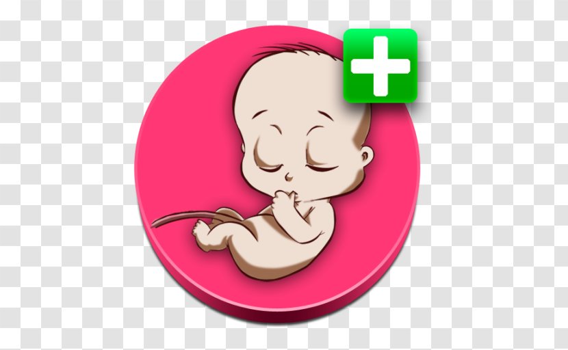 Gestation Ectopic Pregnancy Calculated TrashBox - Calendar Transparent PNG