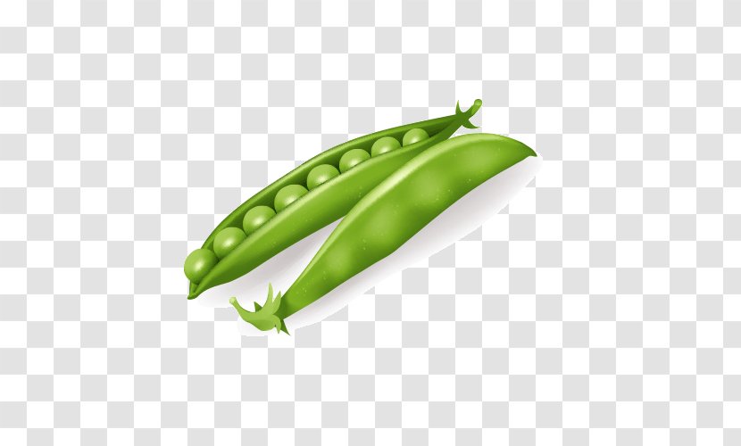 Vegetable Vegetarian Cuisine Clip Art - Plant - Pea Transparent PNG