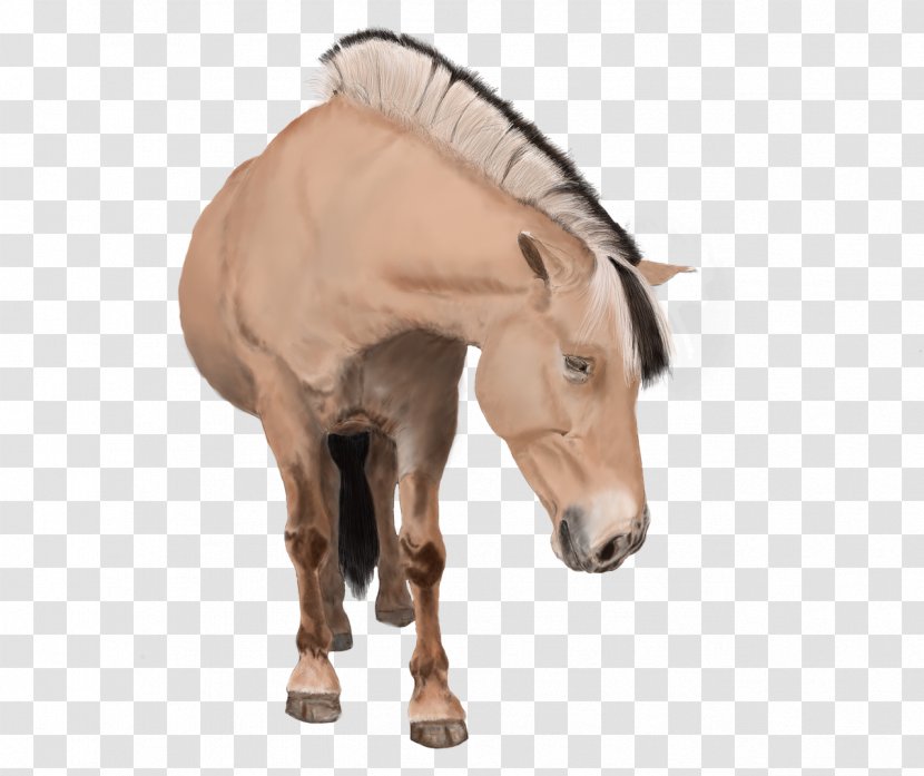 American Paint Horse Stallion Pony Animal Rein - Digital Painting - Seahorse Transparent PNG