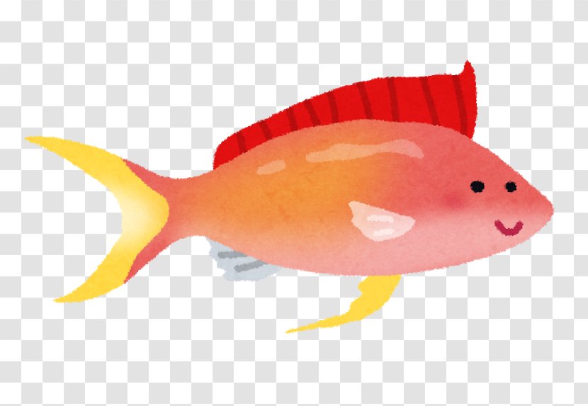 いらすとや Fish Orange Animal - Wedding - Prp Transparent PNG