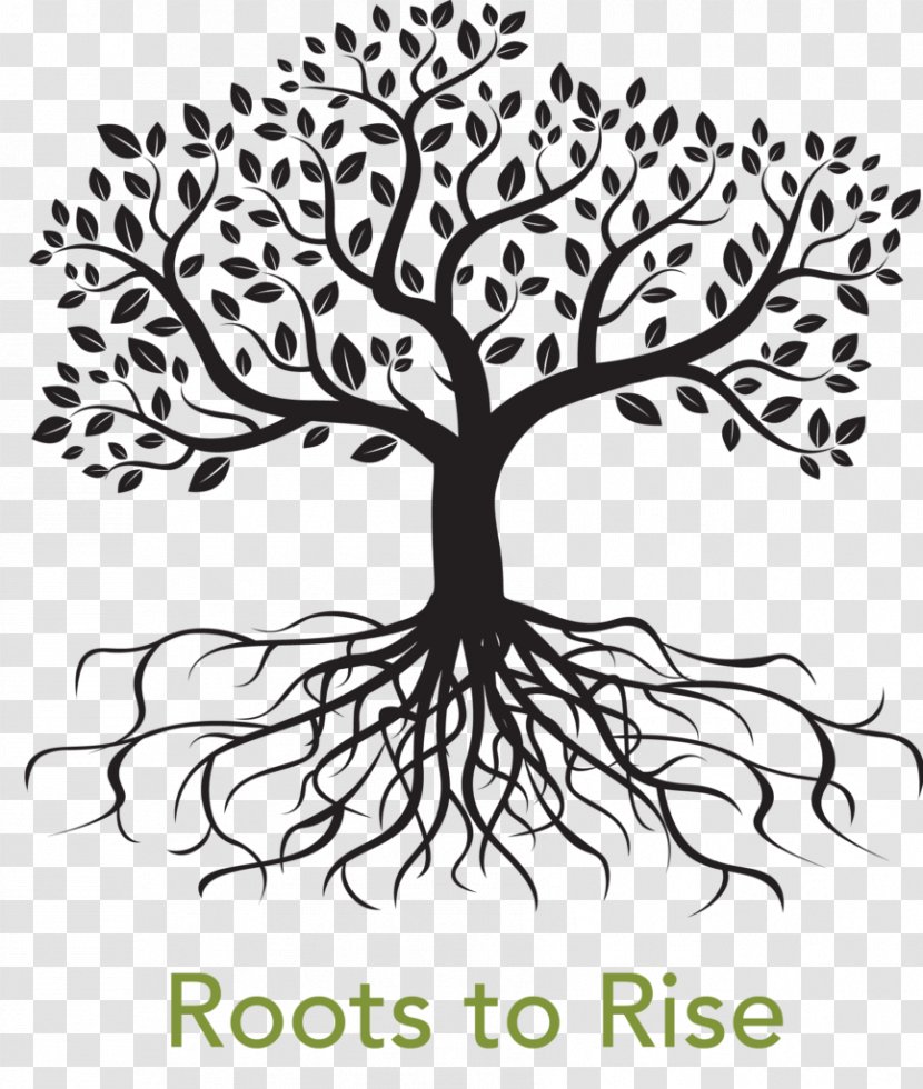 Clip Art Vector Graphics Root Tree Image Transparent PNG