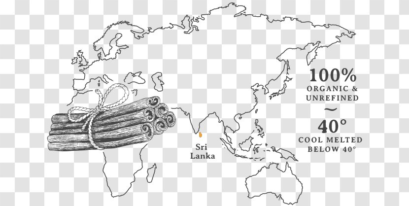 World Map Globe Mapa Polityczna - Cartoon - Cold Pressed Jojoba Oil Transparent PNG