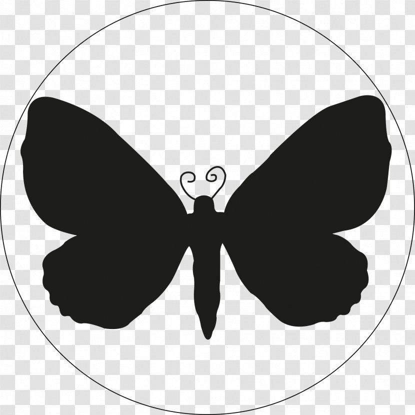 Monarch Butterfly Drawing - Moth - Blackandwhite Symmetry Transparent PNG