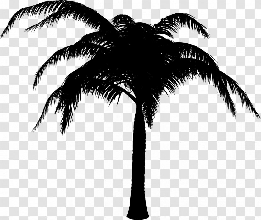 Palm Trees Black & White - Tree - M Silhouette Transparent PNG