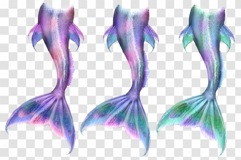 Ariel Mermaid Tail Siren Drawing Transparent PNG