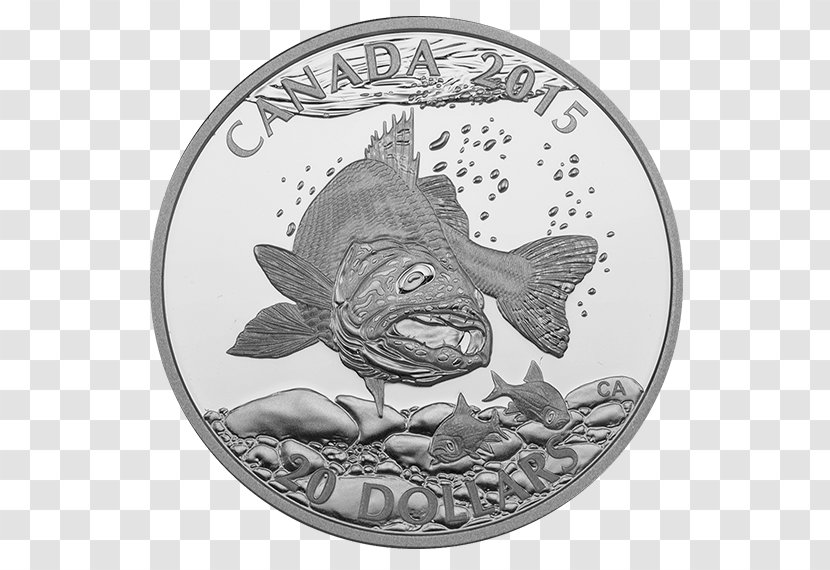 Silver Coin Canada Metal Transparent PNG