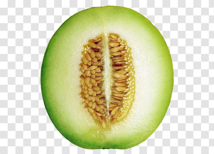 Honeydew Cantaloupe Canary Melon Galia Berry - Vegetable - Green Hay Material Without Matting Transparent PNG