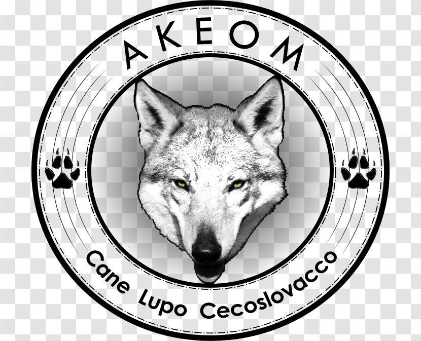 Czechoslovakian Wolfdog Italy Gray Wolf Kennel Transparent PNG