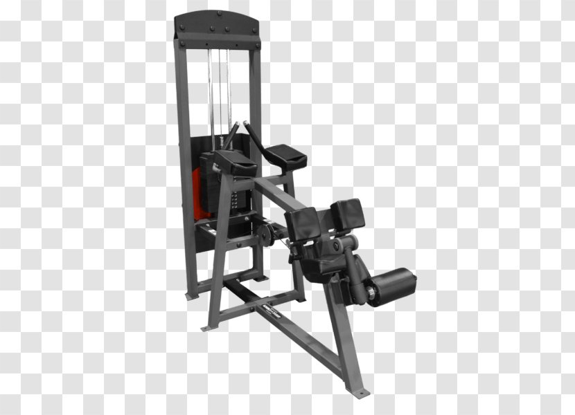 Weightlifting Machine Fitness Centre - Exercise Equipment - Design Transparent PNG
