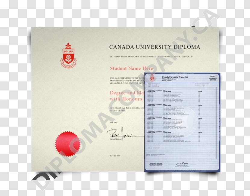 Thompson Rivers University George Brown College Diploma Transcript Academic Degree - Fakedegree Transparent PNG