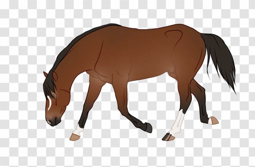 Mustang Rein Mare Stallion Saddle - Livestock Transparent PNG