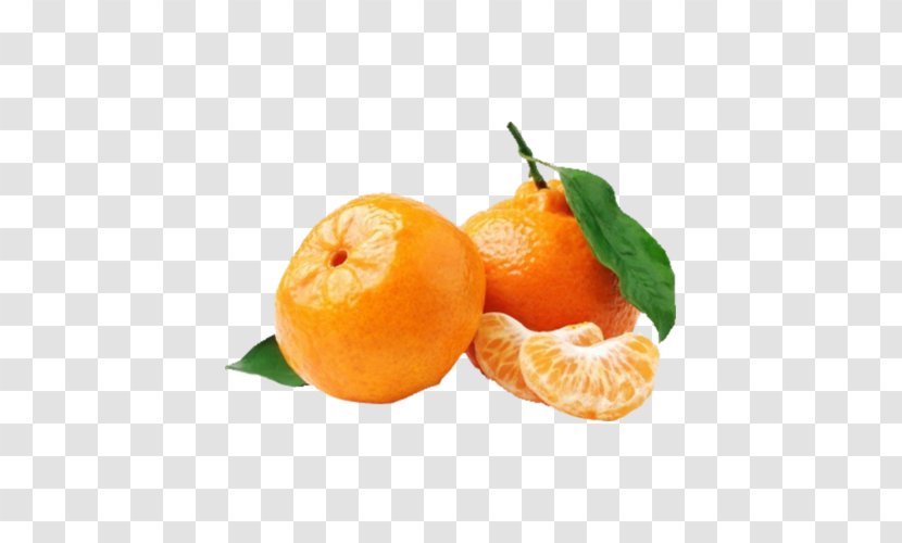 Mandarin Orange Satsuma Tangerine Juice Clementine - Bitter Transparent PNG