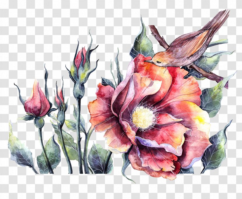 Bird Watercolor Painting Floral Design Illustration - Drawing Peony And Birds Transparent PNG