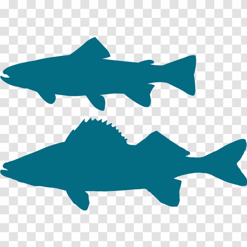 Silhouette Brook Trout Clip Art Shark - Fish Transparent PNG