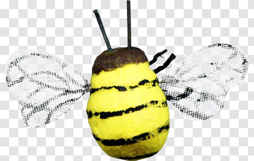 Honey Bee Insect Download - Wing - Cartoon Transparent PNG