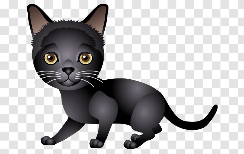 Kitten Bombay Cat Korat Black American Wirehair - Small To Medium Sized Cats Transparent PNG