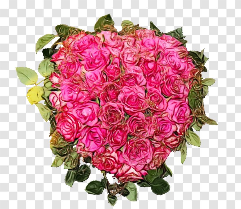 Garden Roses - Flowering Plant - Petal Rose Family Transparent PNG