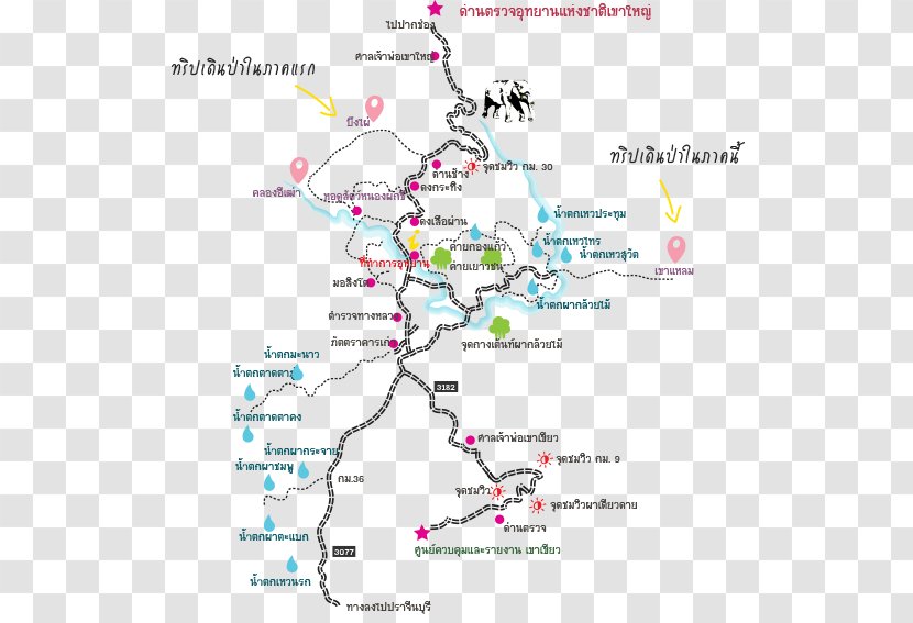 Line Point Map Tree Tuberculosis Transparent PNG