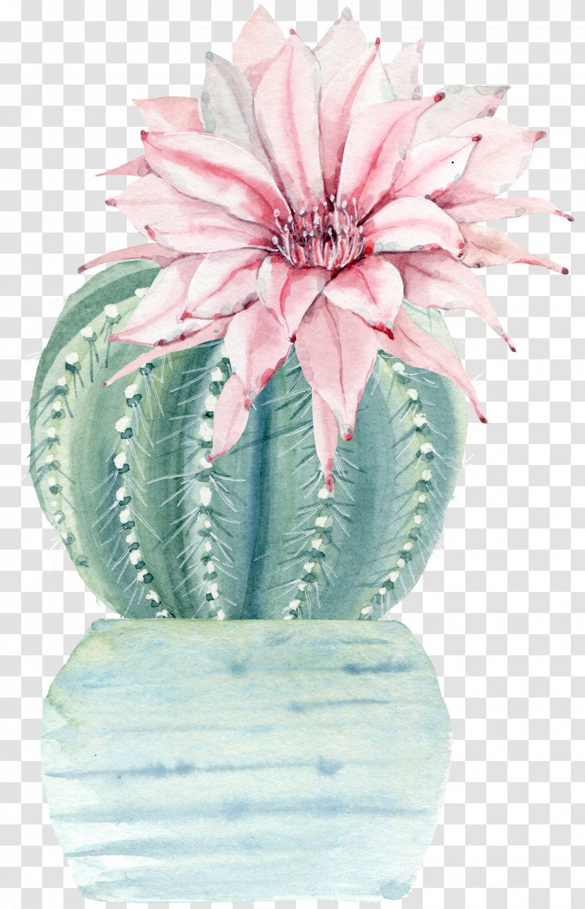 Water Color Flower Plant Cactus - Pink - Saguaro Transparent PNG