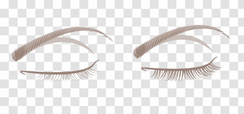 Eyelash Extensions Transparent PNG