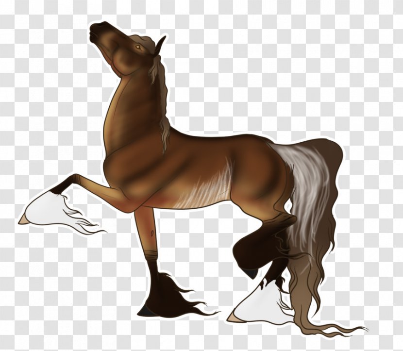 Mustang Foal Mare Stallion Halter - Mammal Transparent PNG