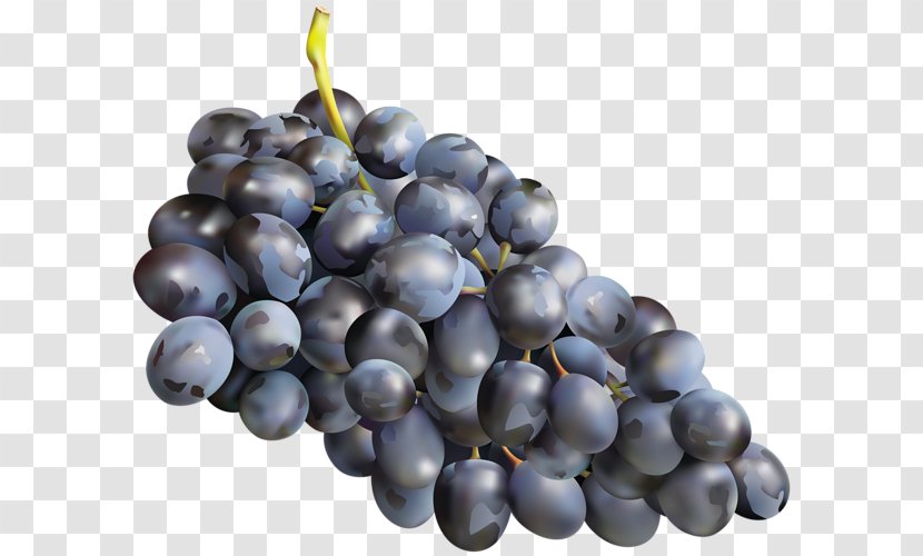 Muscadine Grape Zante Currant Muscat Must - Prune Transparent PNG