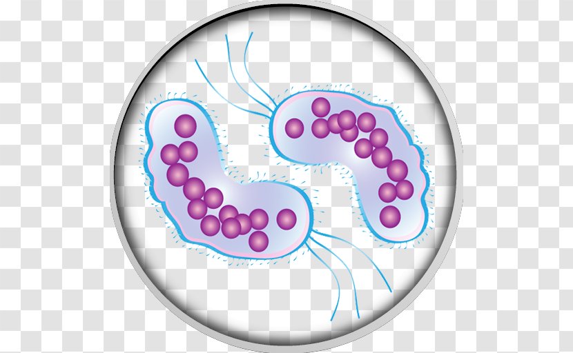 Microorganism Bacteria Infection Virus Clip Art - Vesicular Stomatitis Transparent PNG