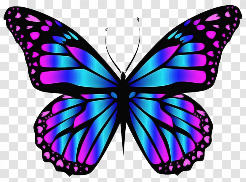 Butterfly - Symmetry Wing Transparent PNG