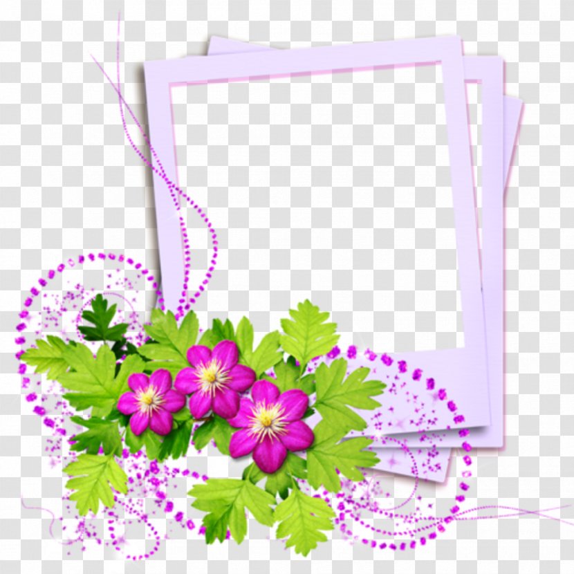 Birthday Armenian Poems Holiday - Gift - Purple Frame Transparent PNG